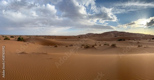 Dunes in the Sahara desert  Merzouga desert  grains of sand forming small waves on the dunes  panoramic view. Setting sun. Morocco 