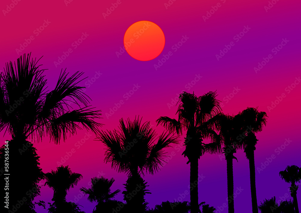 palm trees at sunset
