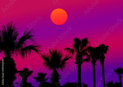Obraz na płótnie palm trees at sunset w salonie