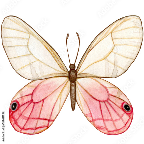 Wallpaper Mural Watercolor hand drawn butterfly Torontodigital.ca