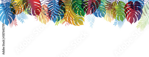sfondo, piante, vegetazione tropicale lussureggiante, 