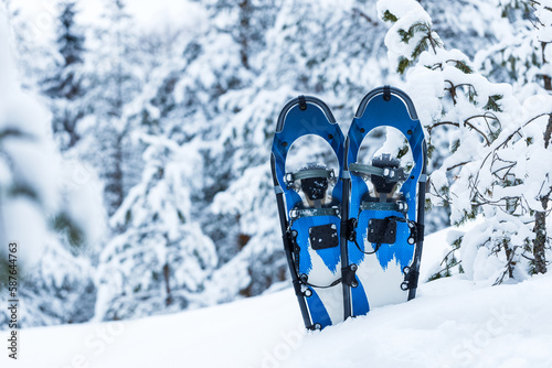 Blue snowshoes in winter snowy forest. Object in focus, background is blurred photo