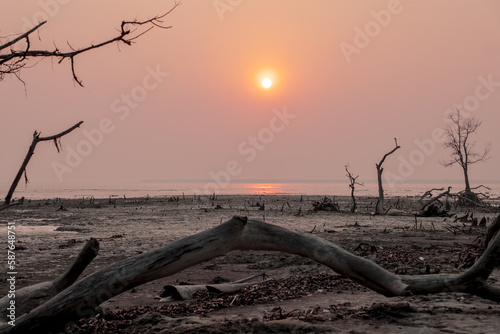 Sunset at Kotka sea beach.this photo was taken from Sundarbans National Park Bangladesh.