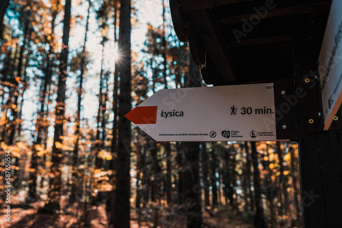 Fototapeta Naklejka Na Ścianę i Meble -  Mount Lysica, Poland - October 20, 2019 - Signpost at near Mount Lysica (Łysica) in Holy Cross Mountains (Góry Świętokrzyskie) 