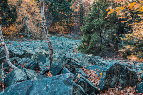 Boulder fields near Mount Lysica (Łysica) in Holy Cross Mountains, Poland