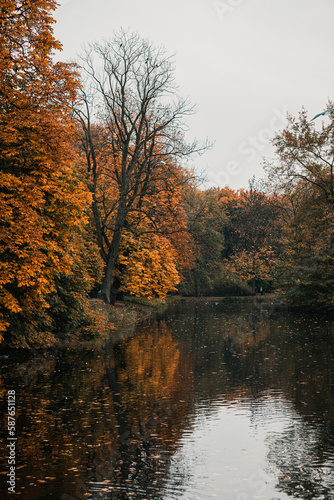 Beautiful autumn orange leaves reflecting in the pond in Warsaw, Poland 