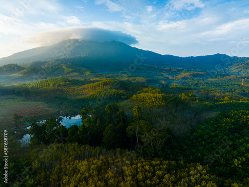 landscape in the morning