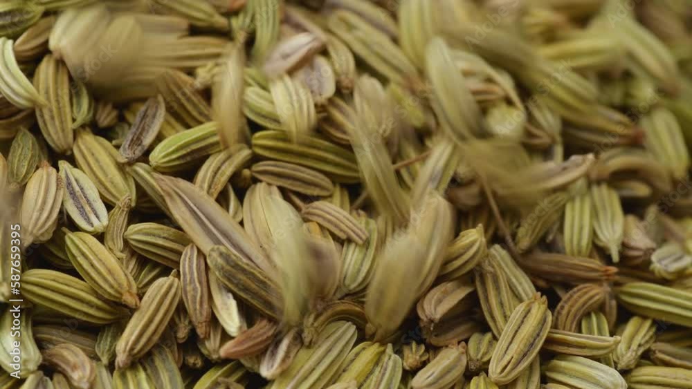 Fennel seeds. Dry fennel seed fall down, macro close up. Fennel seeds. Dry fennel seed fall down, macro close up.