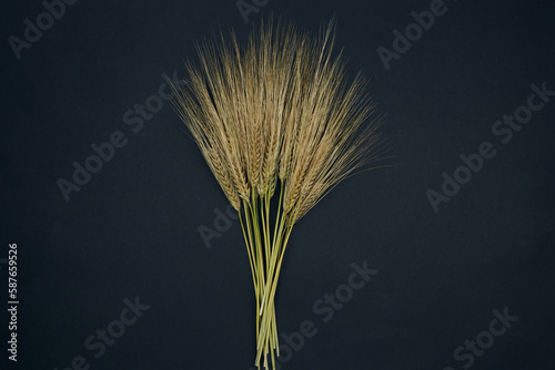 Export of grain from Ukraine during the food crisis - the preservation of the harvest in the war photo