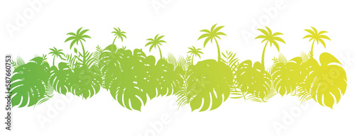 sfondo, piante, vegetazione tropicale lussureggiante, photo