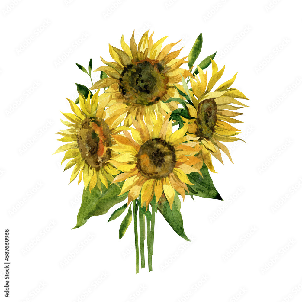 Obraz premium sunflower isolated on white background