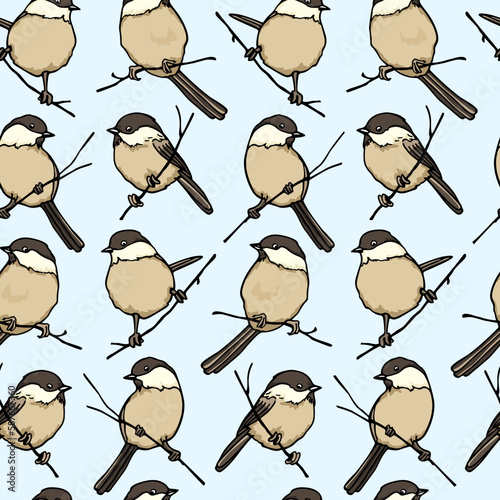 Vector seamless pattern with hand drawn Willow Tits sitting on tree branches. Ink drawing, beautiful animal design elements. Perfect for prints and patterns