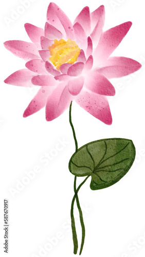 lotus flower watercolor png