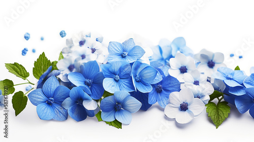 blue flower, white background, masterpiece, high quality