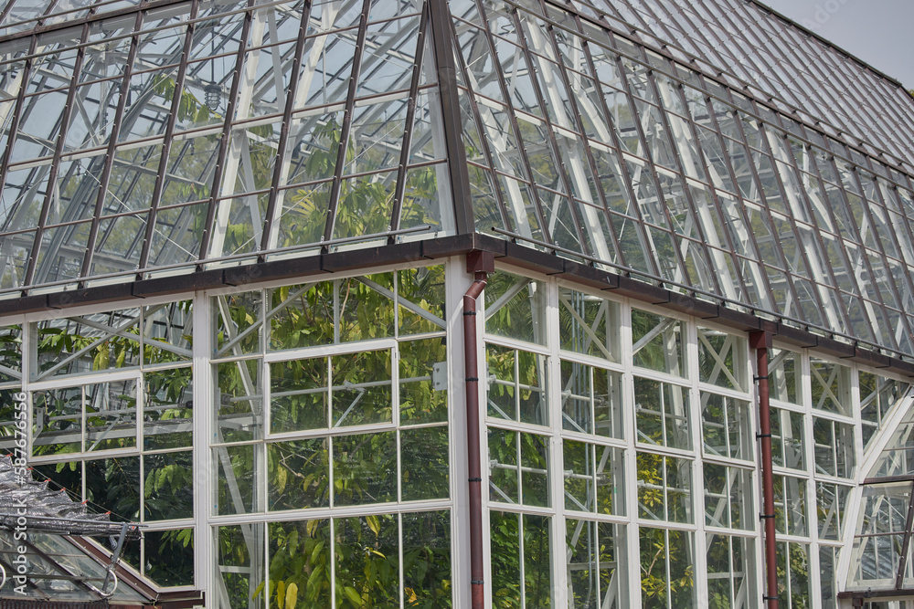 公園の温室のガラス外壁と骨組みの様子