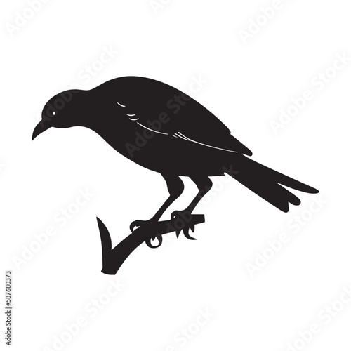 nice vector images  silhouette black bird