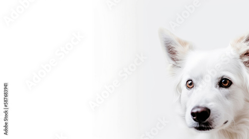 animal on the white Background dog generative ai © Sergey