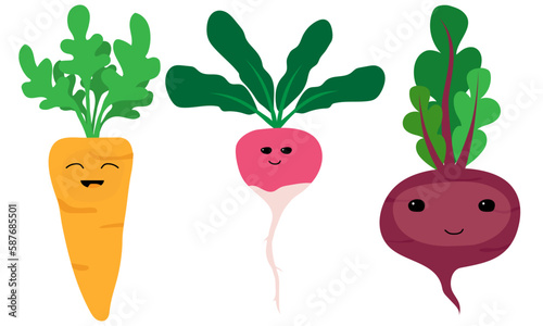 Cartoon carrots, radishes and beets isolated on white background. funny vegetables