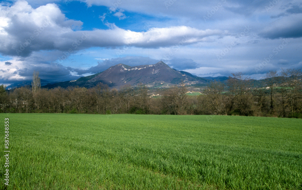 Le Cousson,  Réserve Géologique, Entrages, Digne les Bains, Alpes de Haute Provence, 04, France