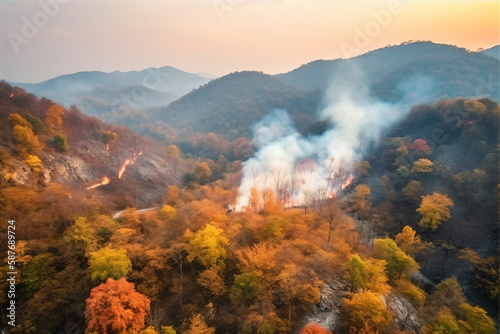 Nature's Fury: A Stunning Display of a Southeastern Forest Fire