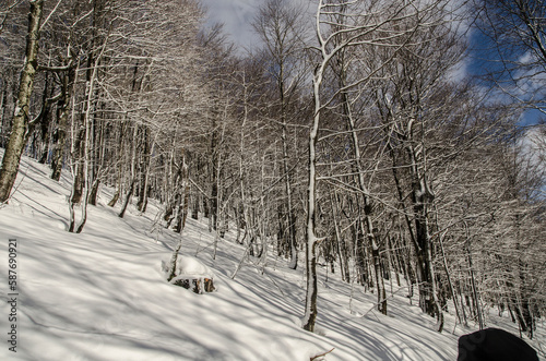 Fototapeta Naklejka Na Ścianę i Meble -  Bieszczady w zimie 
