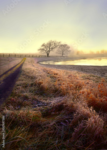 Fototapeta Naklejka Na Ścianę i Meble -  Sunrise in the Field