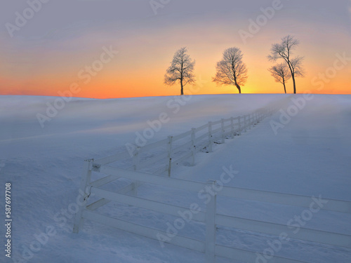 Winter in Indiana photo