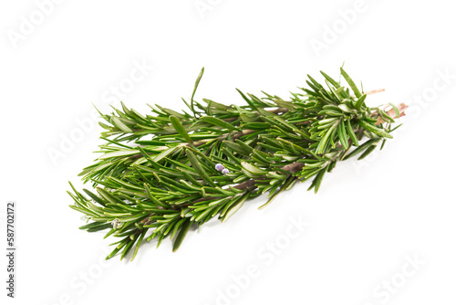 Rosemary isolated on white background. Fresh spice herbs. Seasoning for meat and fish. Recipe.