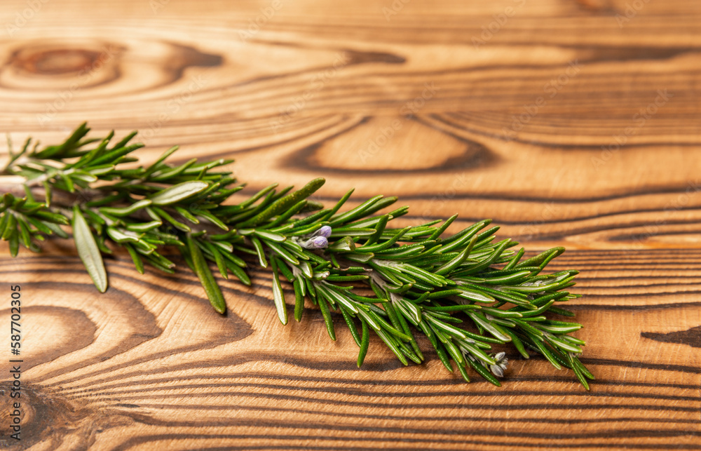 Rosemary on brown texture wooden background. Fresh spice herbs. Seasoning for meat and fish. Recipe. Organic bouquet of fresh rosemary on the table. Place for text. Place to copy. Rosemary on brown texture wooden background. Fresh spice herbs. Seasoning for meat and fish. Recipe. Organic bouquet of fresh rosemary on the table. Place for text. Place to copy.