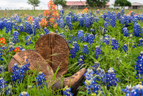 Cowboy boots i a field of Bluebonnets in Texas