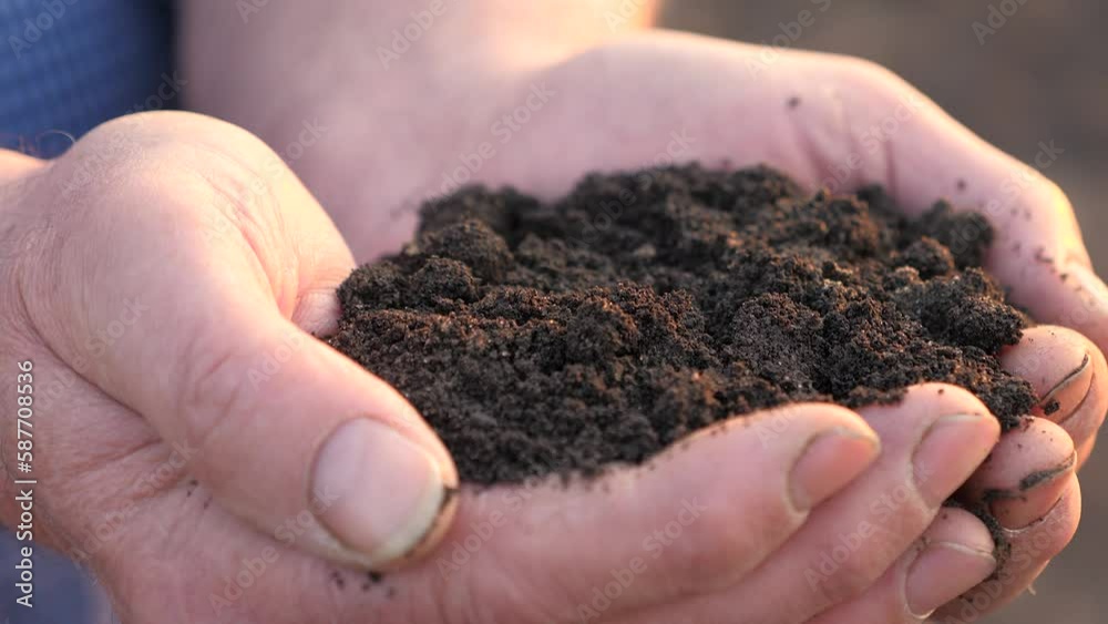 Concept of caring for fertile land. Strong hands of farmer hold handful