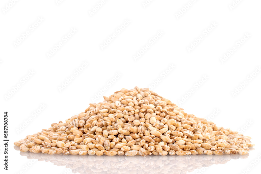 Organic not cooked pearl barley , close-up, isolated on white. Organic not cooked pearl barley , close-up, isolated on white.