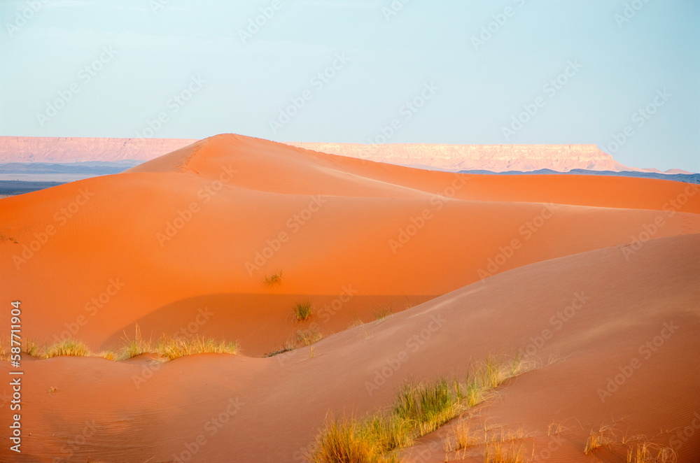 Dunes in the Sahara desert, Merzouga desert, grains of sand forming small waves on the dunes, panoramic view. Setting sun. Morocco