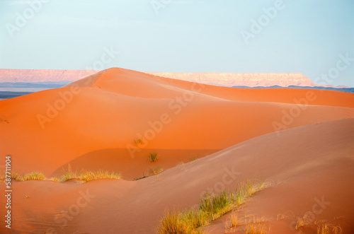 Dunes in the Sahara desert  Merzouga desert  grains of sand forming small waves on the dunes  panoramic view. Setting sun. Morocco