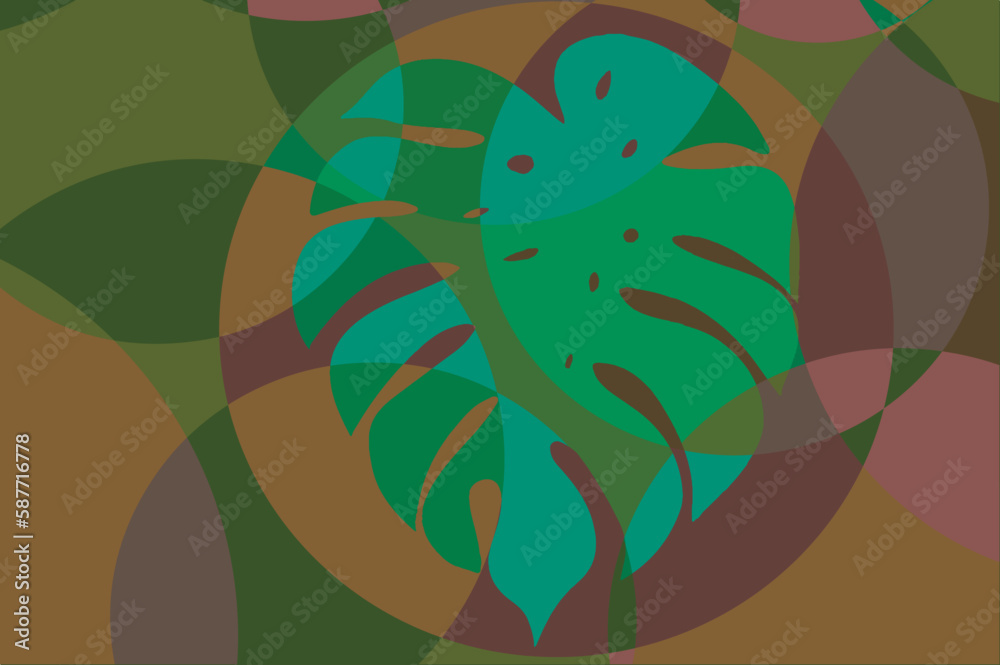 Monstera green leaf. Adam's Rib tropical plant. Background with ...