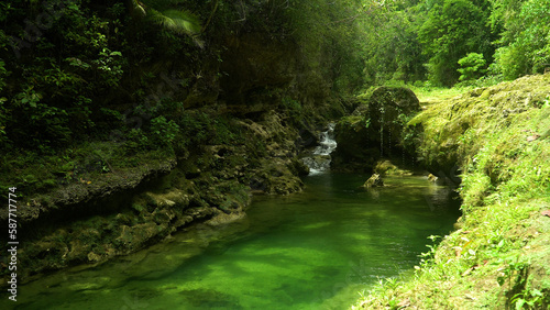 Beautiful natural scenery of river in tropical green forest. Bohol, Philippines. Danicop Ticugan Spring.