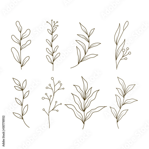 Set of botanical plant aesthetic with flowers line art design illustration