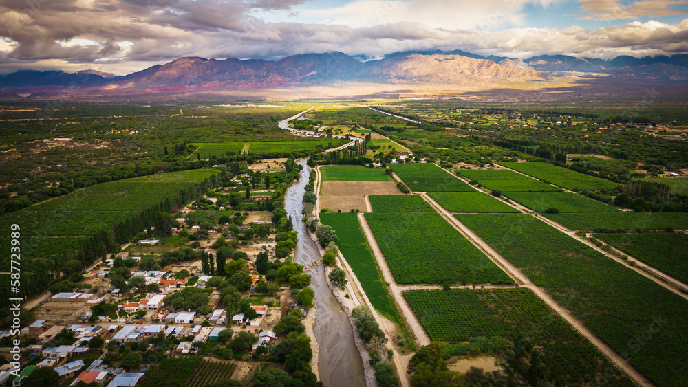 Cafayate Vineyards in Argentina, Aerial Above Green Plant Agricultural Landscape in South American Grapes and Wine Production Valley, Salta