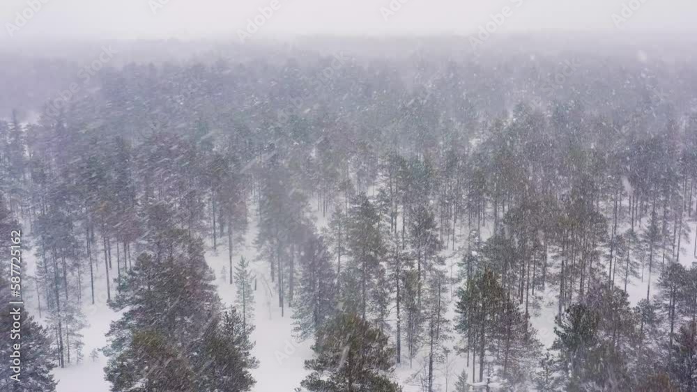 Western Siberia: a heavy snowfall in the winter taiga. Aerial view. Western Siberia: a heavy snowfall in the winter taiga. Aerial view.