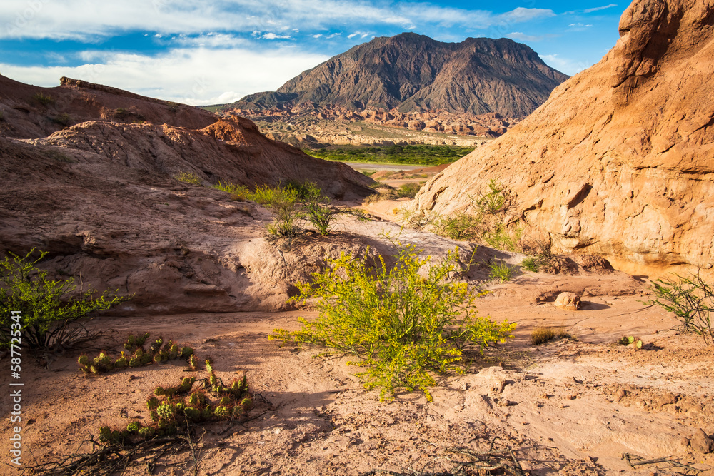 Ancient Rock Solid Formation into Vineyards, Cafayate Route in Salta Argentina, Aerial Drone Calchaqui Valley Ancient Rock Solid Formation into Vineyards, Cafayate Route in Salta Argentina, Aerial Drone Calchaqui Valley