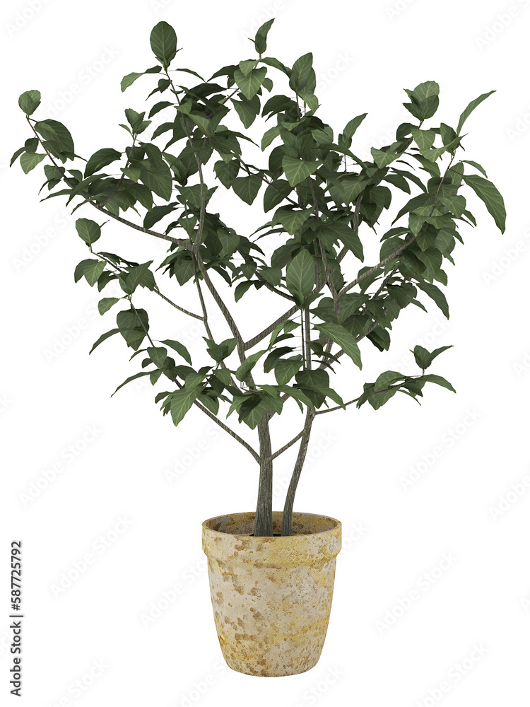 Tree in yellow pot mockup. 3d rendering. 3d illustration Tree in yellow pot mockup. 3d rendering. 3d illustration