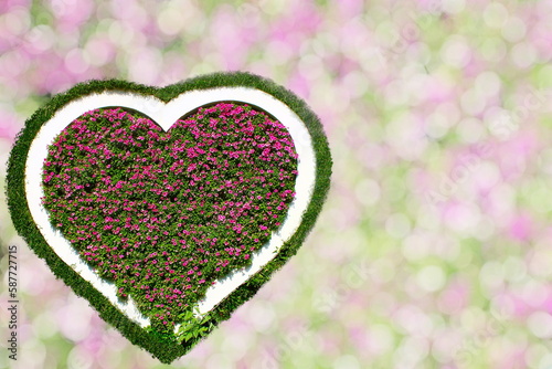 heart shape flower arrangements design for love,heart,valentine related concept in blur bokeh background