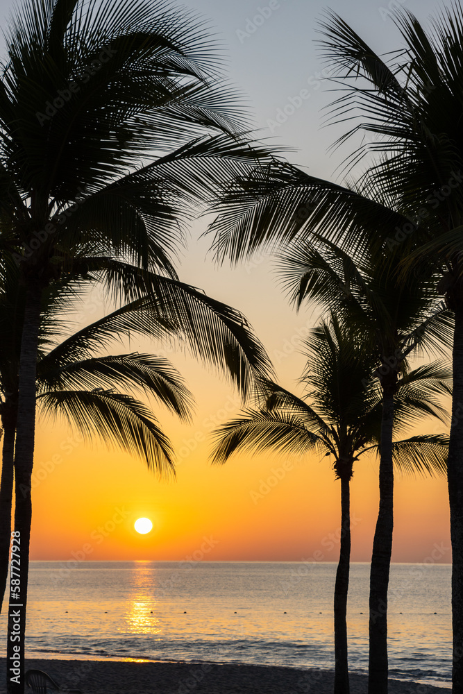 Sunrise behind palm trees on the west coast of Panama.