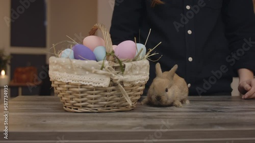 Female hands release bunny on the table next to Easter basket.