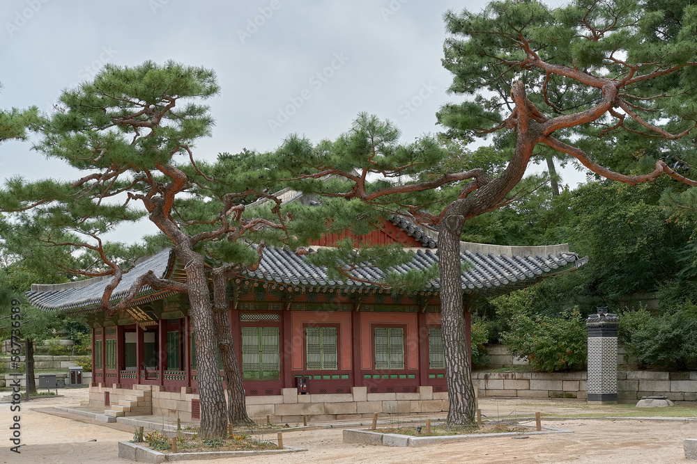 Fototapeta premium Hall building surrounded by trees in Changgyeonggung Palace, Seoul, South Korea