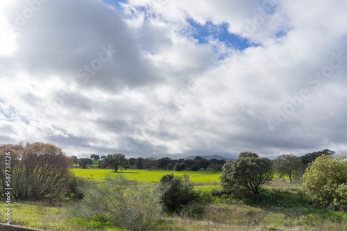 Green field, trees and blue sky with white clouds. Landscape for wallpaper. Navalvillar de Pela. Badajoz