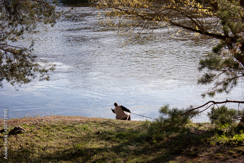 Neighborhoods Grodno. Belarus. The Neman river. Fisherman on the river bank. Spring forest.