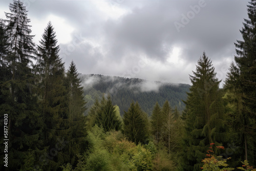 Clouds above the mountains and the forest