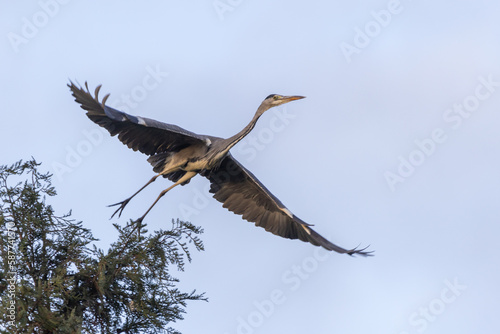 Fotografie Take-Off