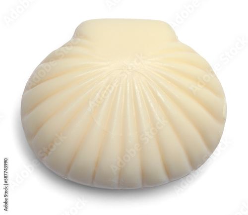 Seashell Soap Top View